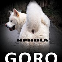NPHDLA – GORO