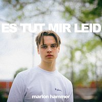 Přední strana obalu CD Es Tut Mir Leid