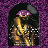 Various  Artists – The Masters Series: Mellow Groove