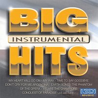 Přední strana obalu CD Big Hits Instrumental