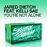 Jared Dietch – You're Not Alone (feat. Kelli Sae)