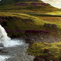 Přední strana obalu CD Love Beast