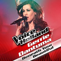 Gerrie Dantuma – Beneath Your Beautiful [From The Voice Of Holland]