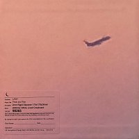 Přední strana obalu CD TAT / IDWLYA / TTT