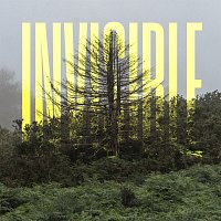 Ólafur Arnalds – The Invisible EP