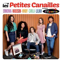 Přední strana obalu CD Chantent Salut Les Copains