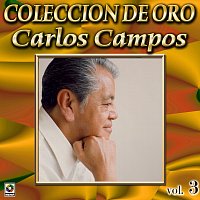 Přední strana obalu CD Colección De Oro, Vol. 3