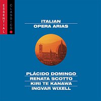 Various  Artists – Opera Arias (Rigoletto, La Boheme, Tosca, Norma, Otello, etc.)