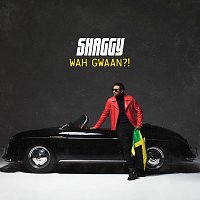 Shaggy – Wah Gwaan?! MP3