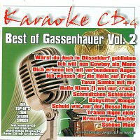 Karaokefun.cc VA – Best of Gassenhauer Vol.2