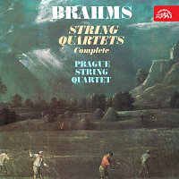 Přední strana obalu CD Brahms: Smyčcové kvartety