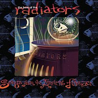 The Radiators – The Best of the Radiators: Songs from the Ancient Furnace