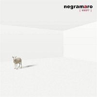 Negramaro – 000577