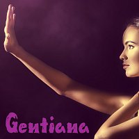 Přední strana obalu CD Gentiana