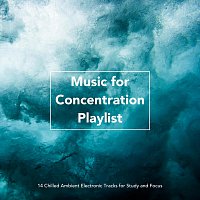 Různí interpreti – Music for Concentration Playlist: 14 Chilled Ambient Electronic Tracks for Study and Focus