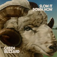 Green Buzzard – Slow It Down Now