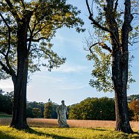 Přední strana obalu CD Magically Appear