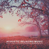 Různí interpreti – Acoustic Relaxing Music: Beautifully Chilled Acoustic Arrangements