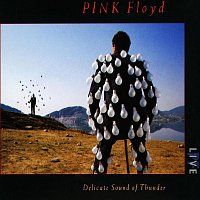 Pink Floyd – Delicate Sound Of Thunder MP3