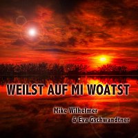 Mike Wilhelmer – Weilst auf mi woatst