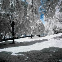 Radomír Holeček – Sněží MP3