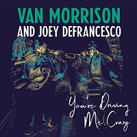 Van Morrison, Joey DeFrancesco – You're Driving Me Crazy