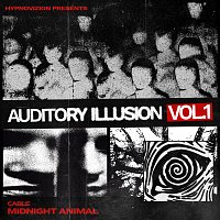 Přední strana obalu CD Midnight Animal