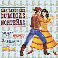 Various  Artists – Las Mejores Cumbias Nortenas