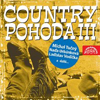 Různí interpreti – Country pohoda III.