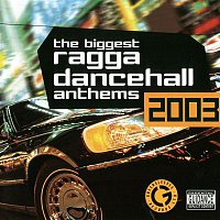 The Biggest Ragga Dancehall Anthems 2003