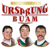 Das Beste der Ursprung Buam