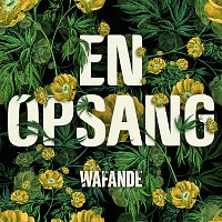 Wafande – En Opsang