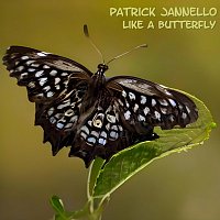 Patrick Jannello – Like a Butterfly