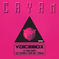 Přední strana obalu CD Voicebox