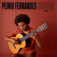 Plínio Fernandes – Saudade