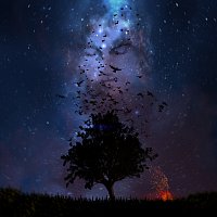 May Wave$ – UHOD 3: Spasenie