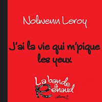 Nolwenn Leroy – J'ai la vie qui m'pique les yeux [La bande a Renaud, volume 2]