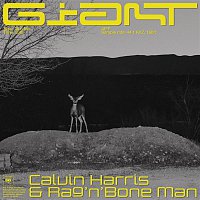 Calvin Harris, Rag'n'Bone Man – Giant