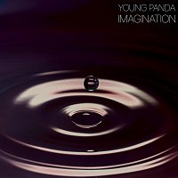 Přední strana obalu CD Imagination