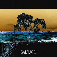Badavice – SALVAGE