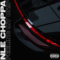NLE Choppa – Feeling My Drip