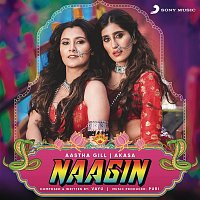 Vayu, Aastha Gill, Akasa & Puri – Naagin