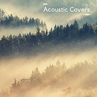 Různí interpreti – Acoustic Covers
