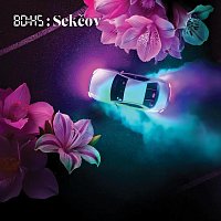 BDHS Blikajúci Dychový Hudobný Systém – Sekčov
