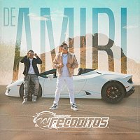 Banda Los Recoditos – DE AMIRI