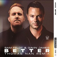 Sam Feldt & Gavin James – Better (Thomas Nan Extended Remix)