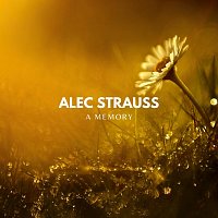 Přední strana obalu CD A Memory