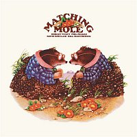 Přední strana obalu CD Matching Mole