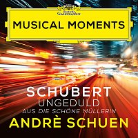Andre Schuen, Daniel Heide – Schubert: Die schone Mullerin, Op. 25, D. 795: VII. Ungeduld [Musical Moments]