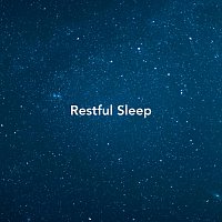 Různí interpreti – Restful Sleep